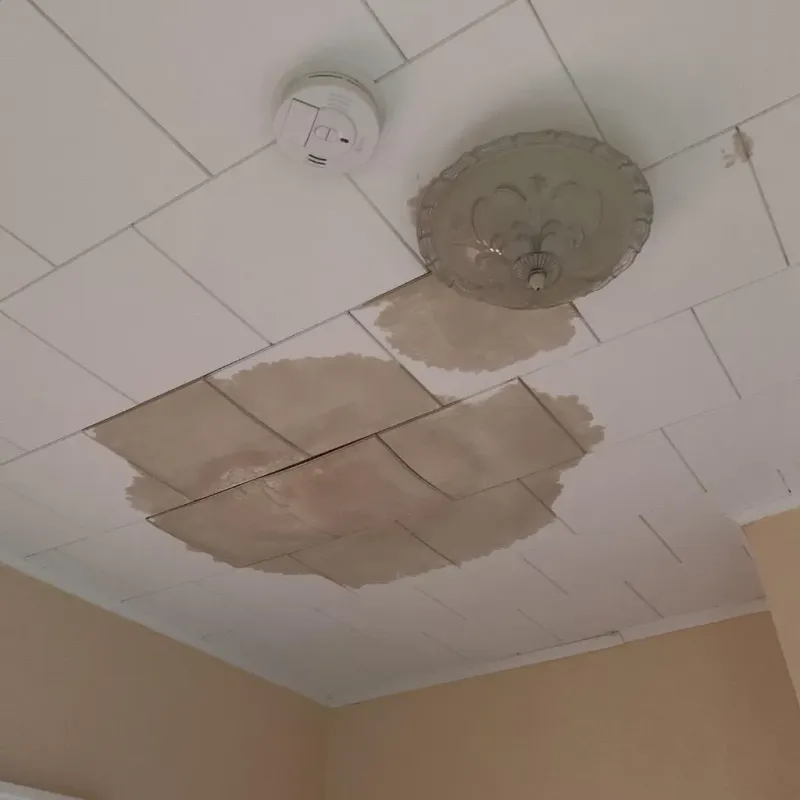 Ceiling Water Damage Repair in Webster City, IA