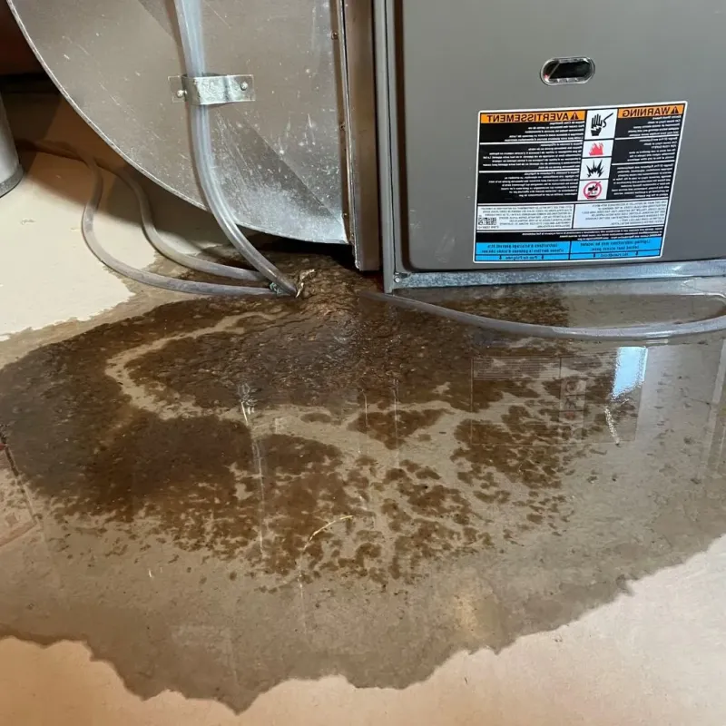 Pipe Burst and Leak Restoration in Webster City, IA