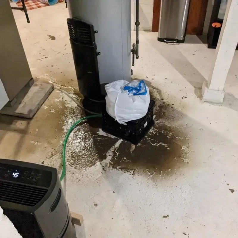 Sewage Backup Cleanup Service in Webster City, IA